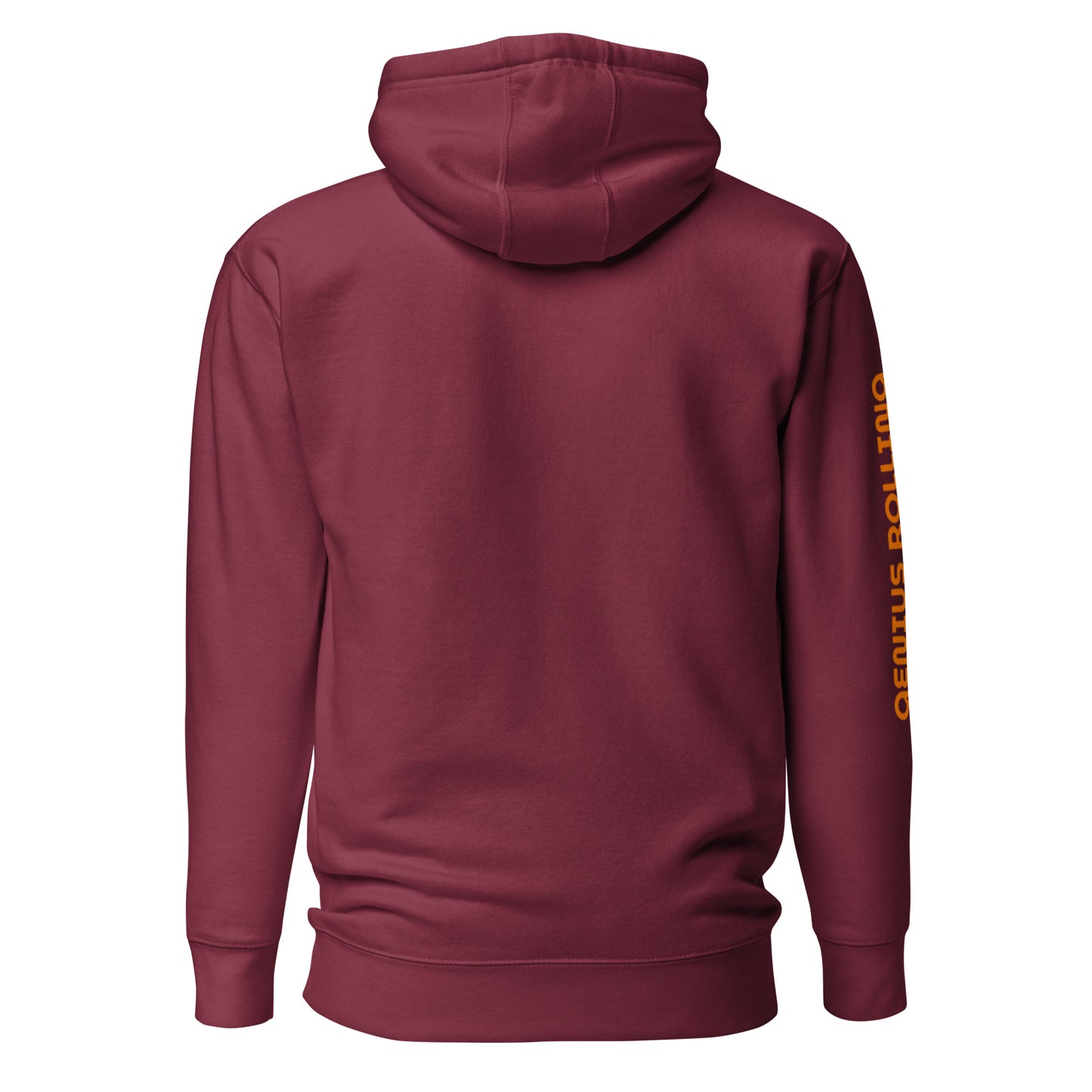 Sudadera con capucha unisex Leonardo da Vinci